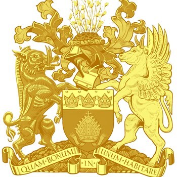 The Mayor of Kensington and Chelsea's Skydive Team logo